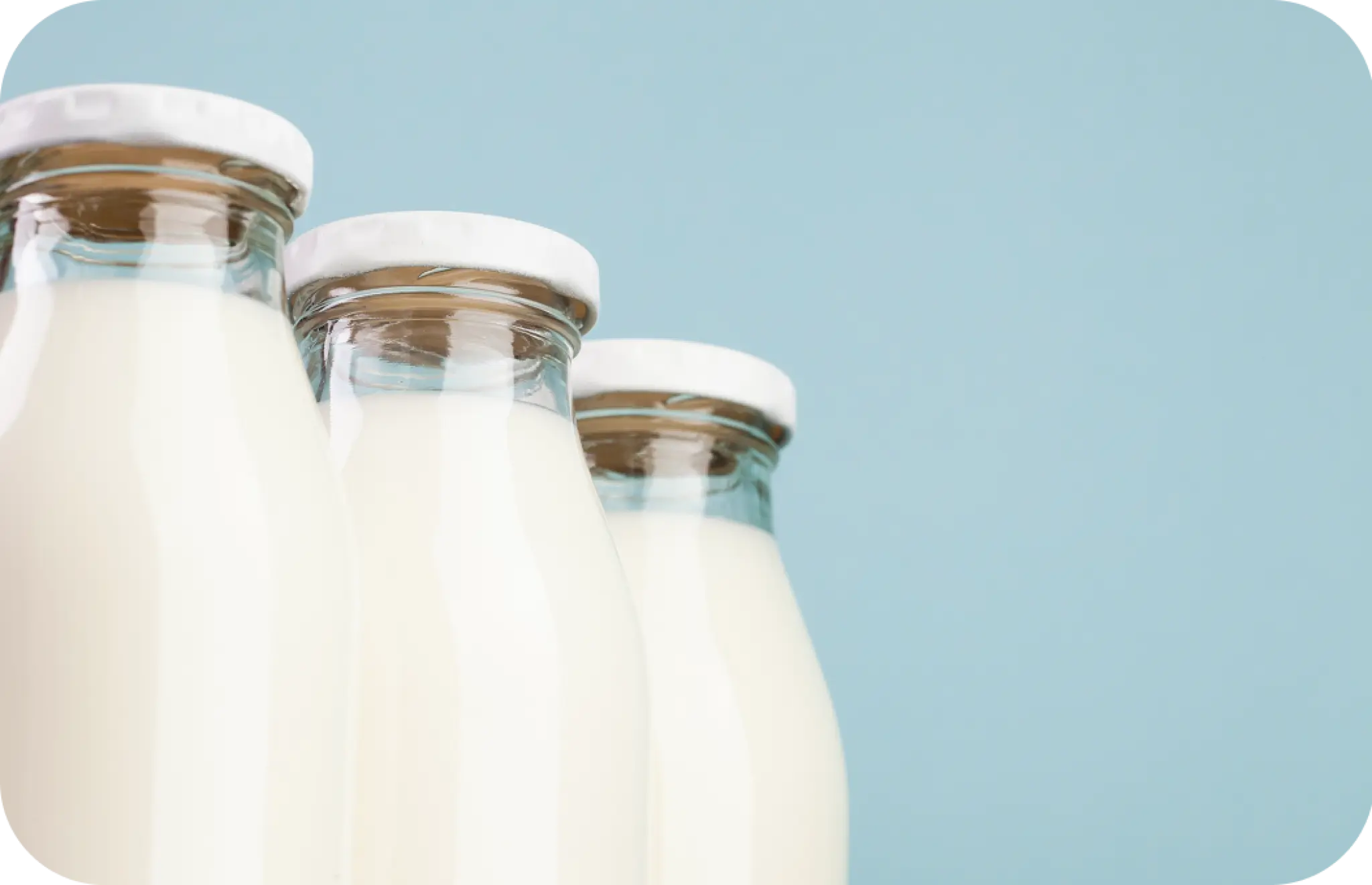 4 Традиційні товари українського молочного експорту